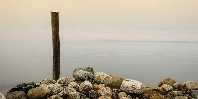 从“土特产”到“金招牌”：泰安农产品区域公用品牌的整合传播突围战