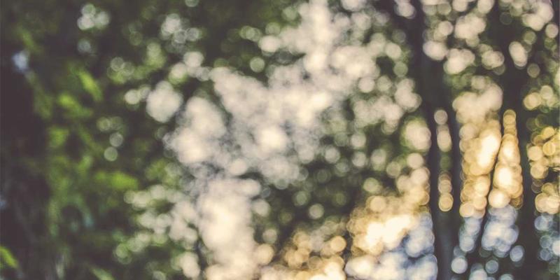 掘金泰安地铁经济：前瞻城市轨道交通媒体蓝海，解锁企业品牌增长新引擎