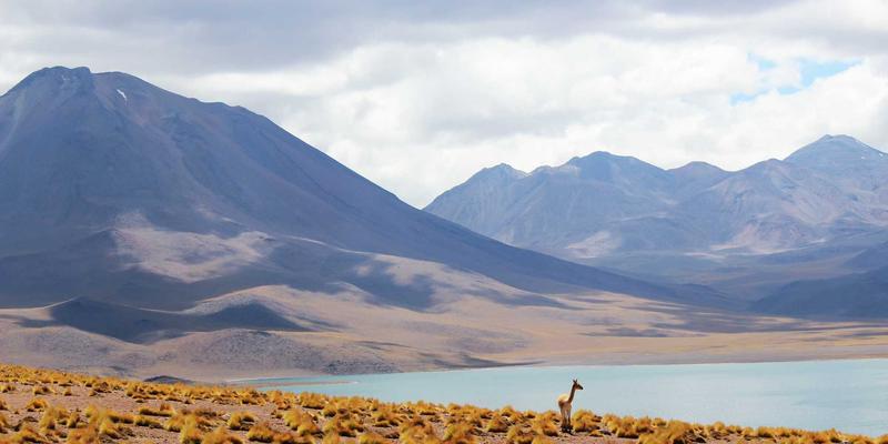 泰安LED大屏广告投放全攻略:核心位置解析与精准报价指南,助力企业形象升级