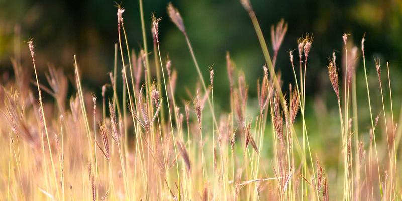 泰安活动策划与现场广告执行全案解析：从AD0538案例看营销策划与企业形象设计的融合之道