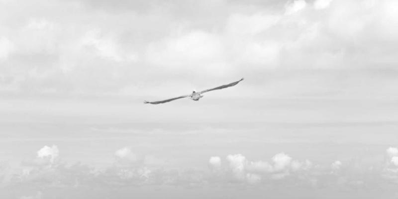 泰安餐饮突围战：如何借力本地广告与专业品牌策划，让客流源源不断